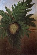 unknow artist Hawaiian Breadfruit, oil on canvas painting by Persis Goodale Thurston Taylor, c. 1890 Spain oil painting artist